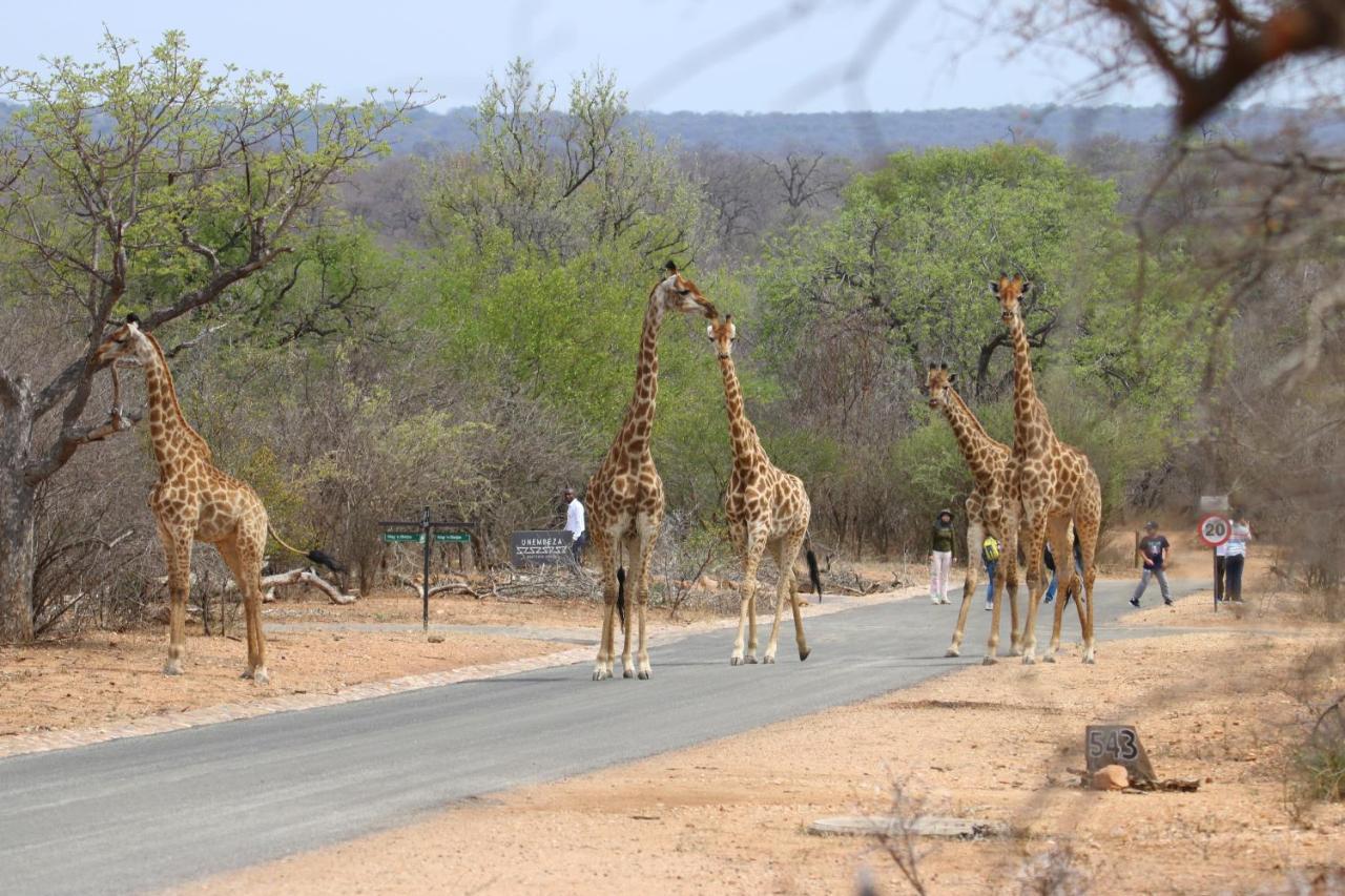 Unembeza Boutique Lodge & Spa Hoedspruit Exterior photo